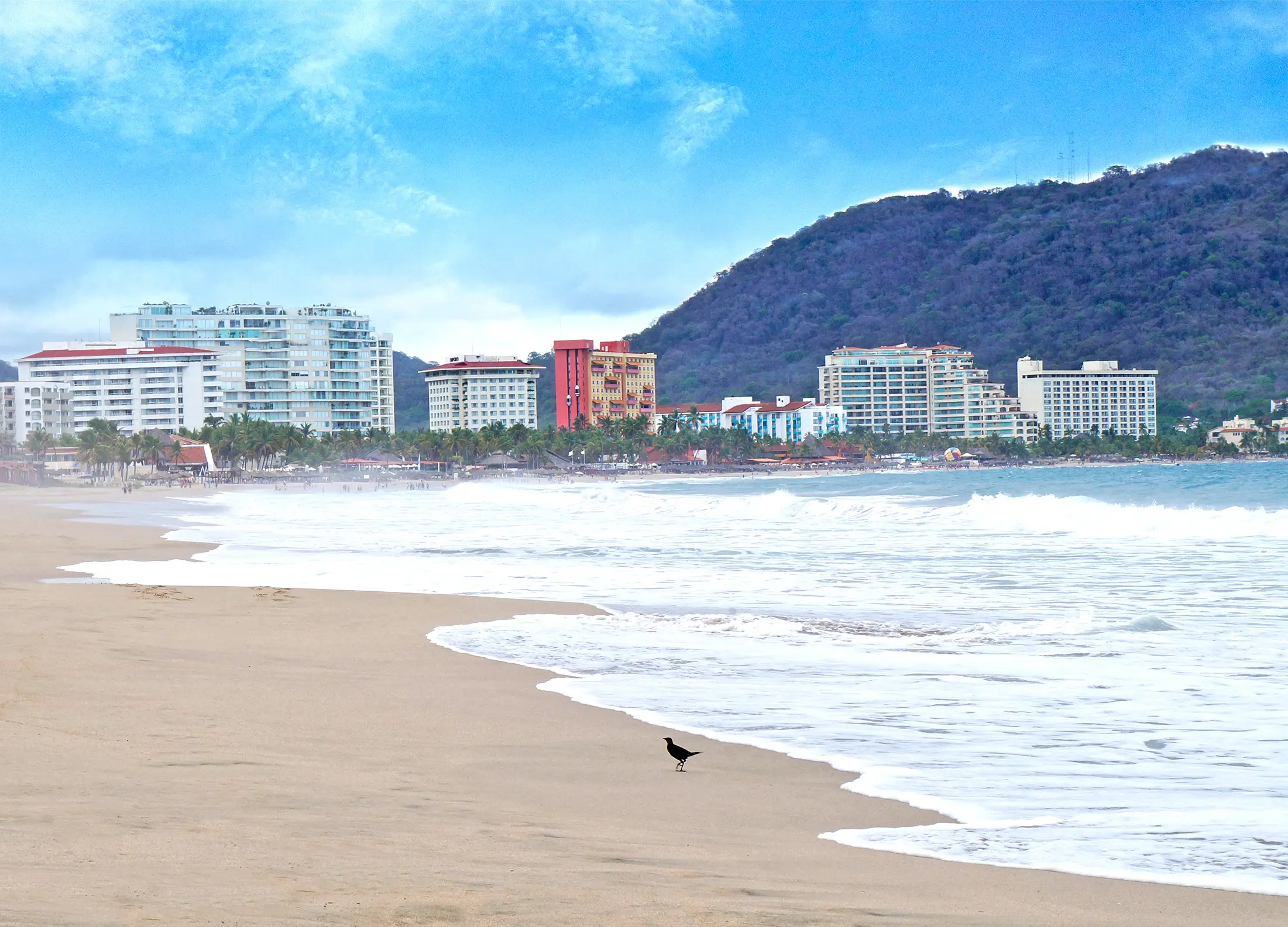El Palmar y la tradición del 'levante': cuando el viento manda