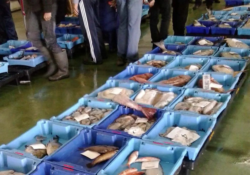 Cómo elegir pescado fresco en la lonja sin hacer el ridículo